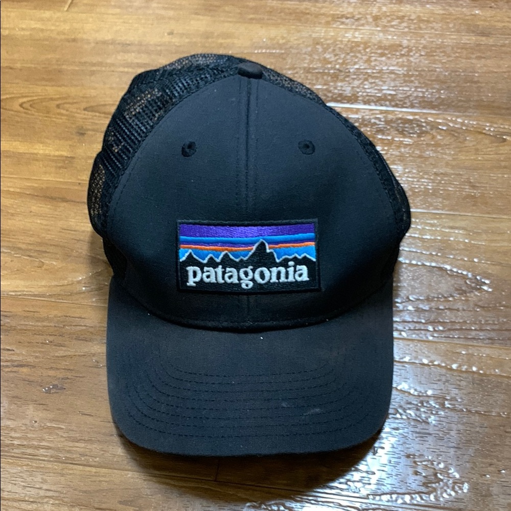 Patagonia Trucker Hat Cap